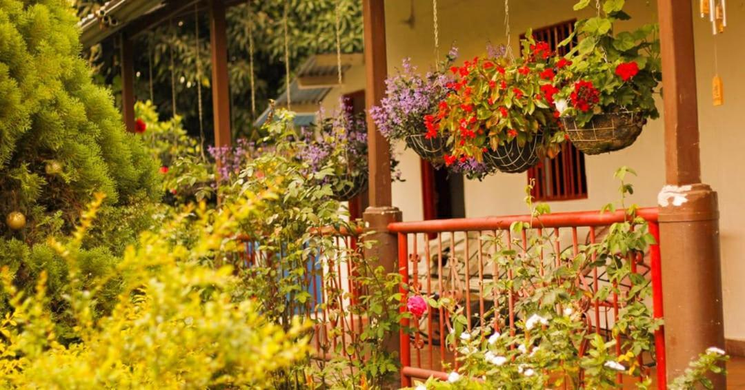 Villa Sonia Eco-Hostel Gigante Zewnętrze zdjęcie